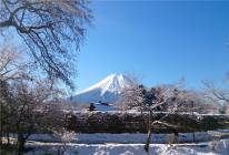 日本富士山1