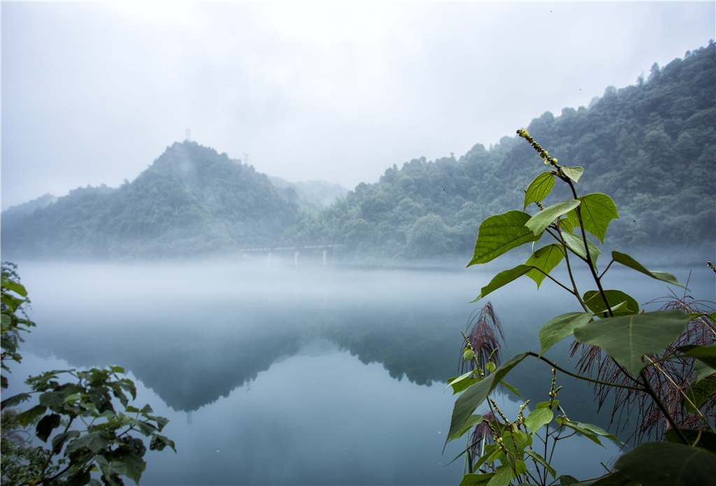 守护绿水青山 绣出美妙糊口