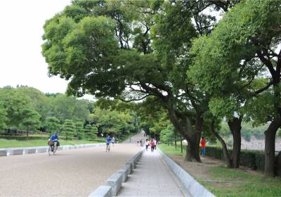 【日本】大阪近郊一日游推荐御在所岳缆车AQUA IGINIS片冈温泉，还有松阪牛吃到饱