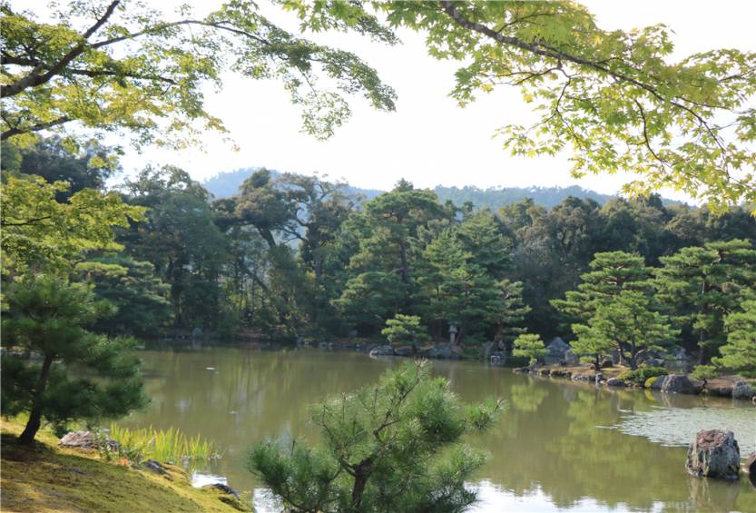 日本风景随拍13