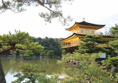 【日本】【北海道旅遊】北海道四季風景超美，如何玩得輕鬆又好玩